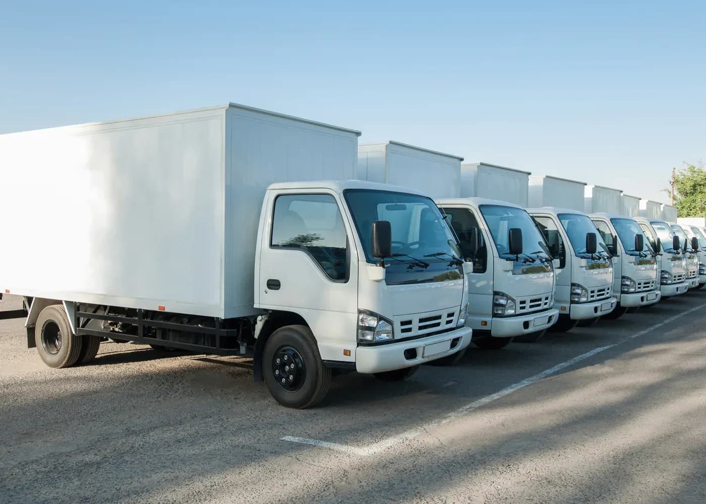 Fleet of white cargo trucks ready for inland delivery
